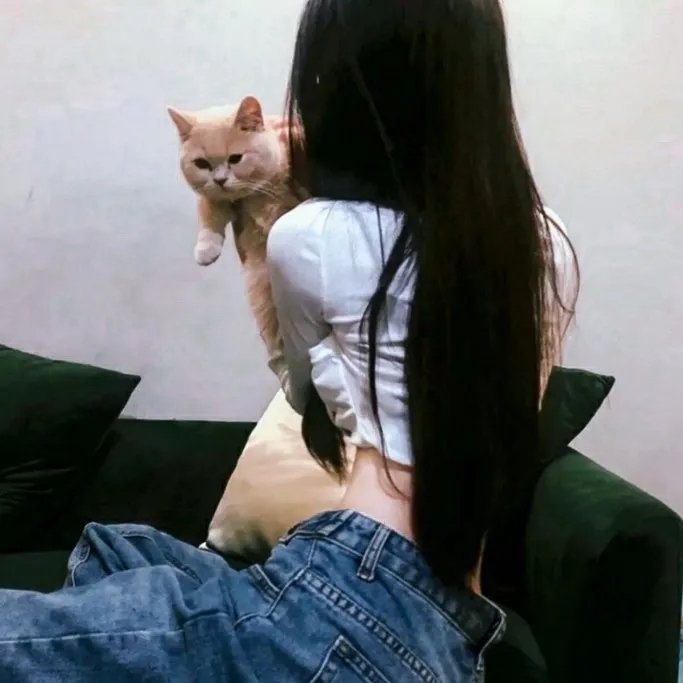现代灰姑娘
